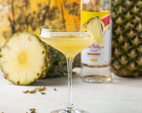 Cocktail Master class La Pina De Plato