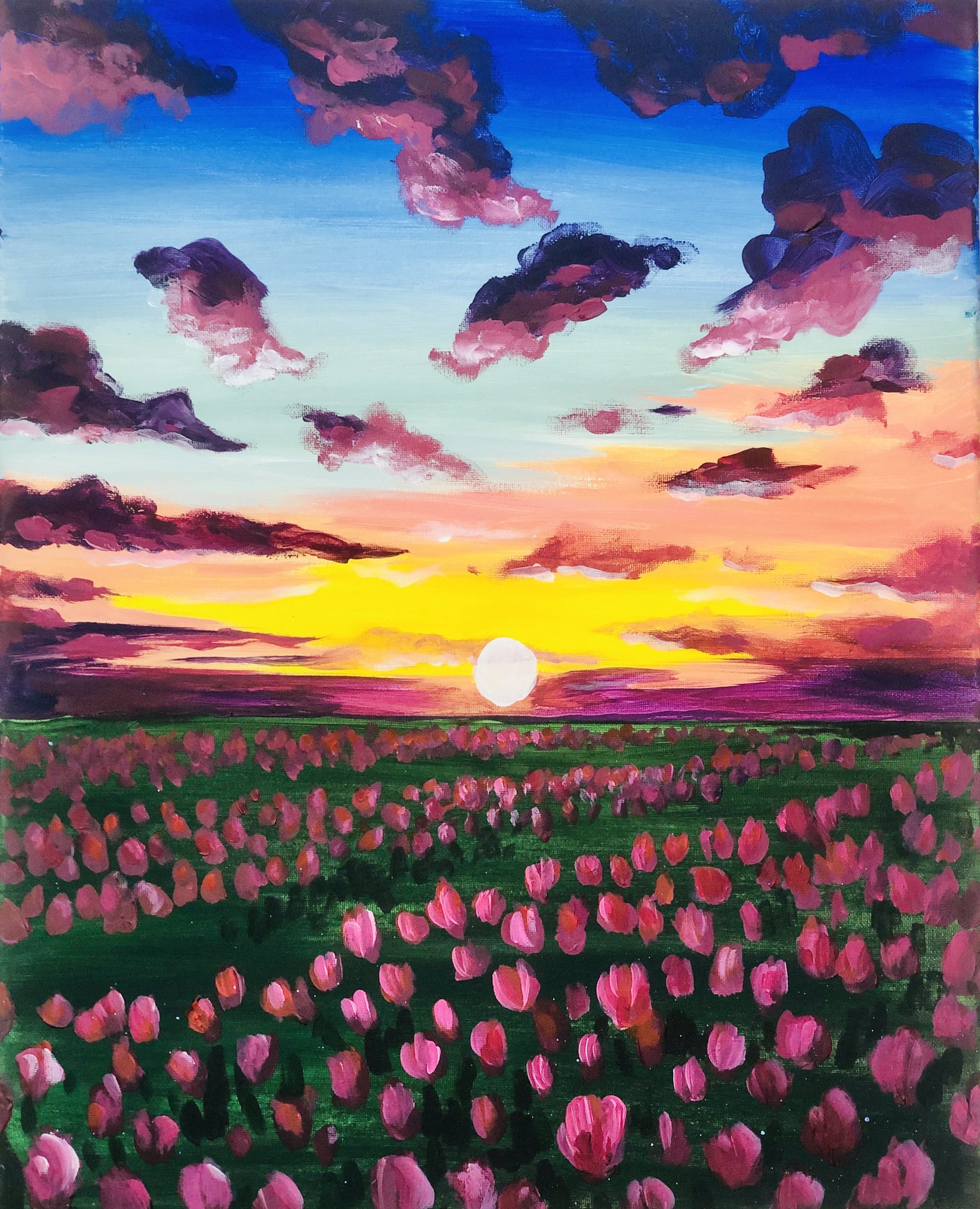 TULIP SUNSET